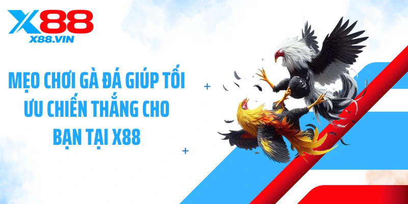 Mẹo Chơi Gà Đá Giúp Tối Ưu Chiến Thắng Cho Bạn Tại X88
