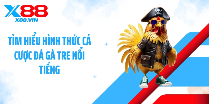 Tìm hiểu hình thức cá cược đá gà tre nổi tiếng