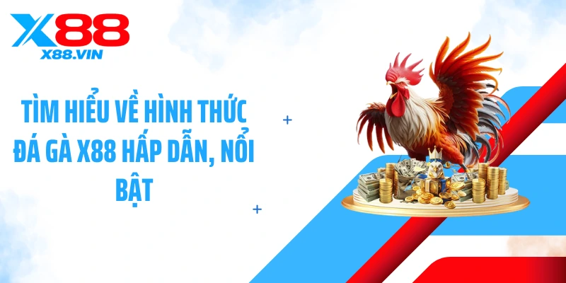 Tìm hiểu về hình thức đá gà X88 hấp dẫn, nổi bật