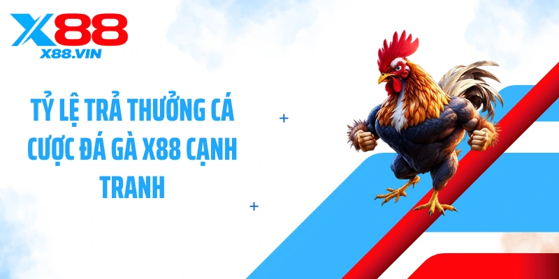 Tỷ lệ trả thưởng cá cược đá gà X88 cạnh tranh